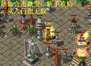 热血合击微变：新手攻略，从入门到无敌